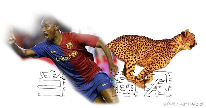 当球星遇到猫咪,当球星遇到自己的名场面