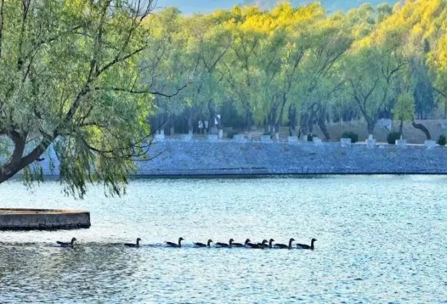 北京四个踏青必备的免费公园,北京小众湿地公园