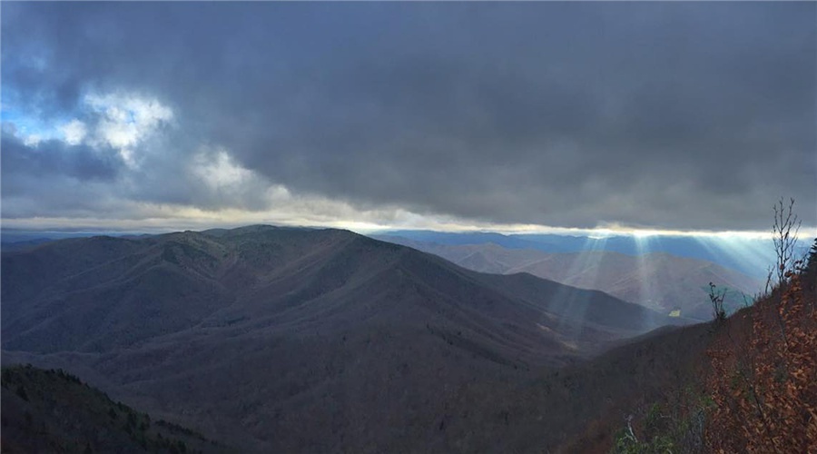 豆瓣日记完整版,豆瓣日记大全