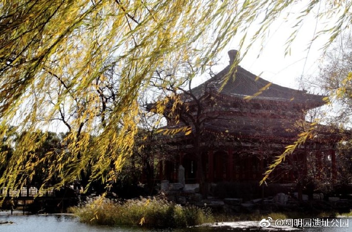 【图赏】圆明风光：光影斑驳重焕光彩