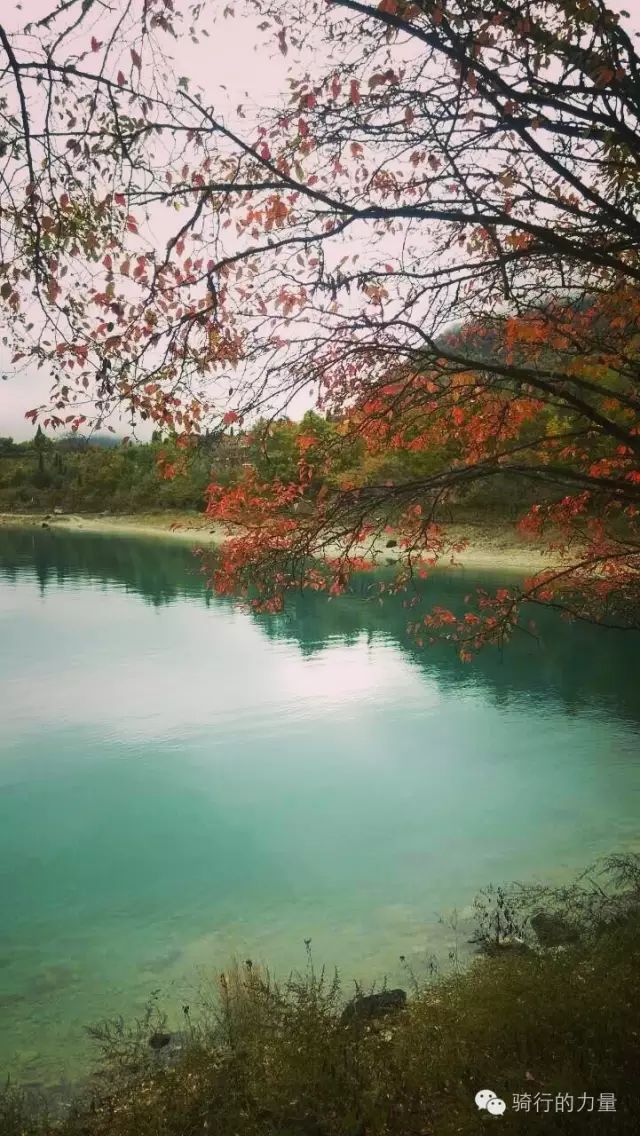 文县天池之美,美丽的文县天池山色空蒙湖水清澈