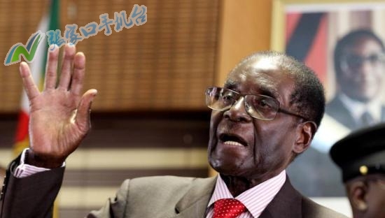 手机版张家口新闻网,张家口新闻头条视频