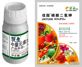 番茄坐果不好怎么办,番茄坐果少怎么补