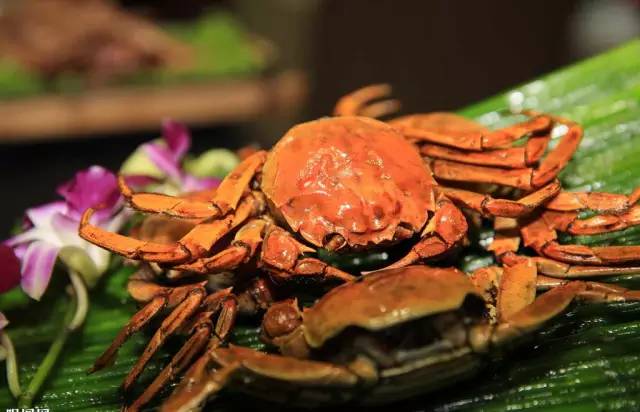 东北自由行旅游攻略7天鲅鱼圈,春节鲅鱼圈自驾一日游攻略