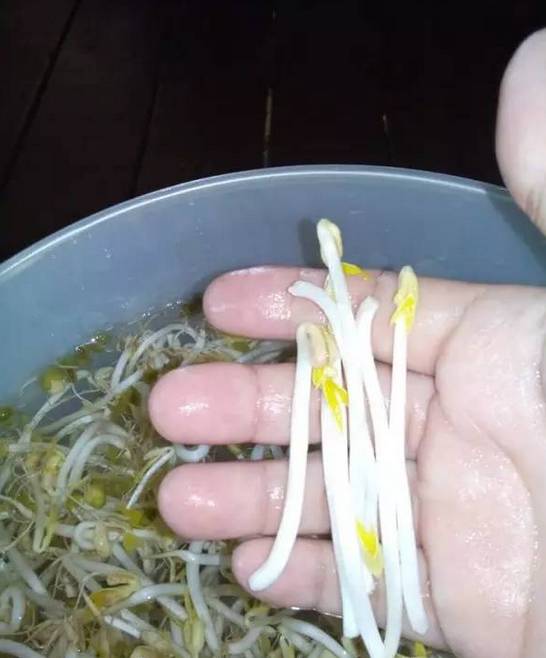 褰撹眴鑺介亣涓婇吀杈ｇ矇鑷儹鐏攨,褰撹眴鑺介亣涓婇吀杈ｇ矇