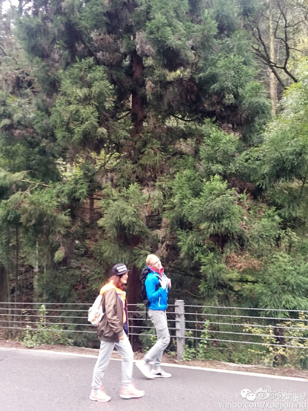 胡歌江疏影分手后的第一次合作,胡歌与江疏影分手后首次同台