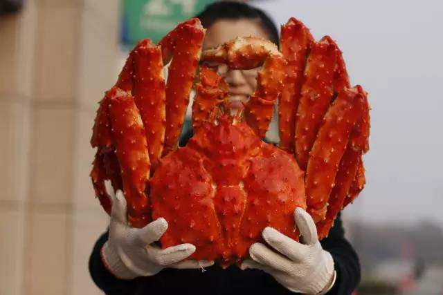 一元的提拉米苏,正宗俄罗斯风味奶油千层提拉米苏