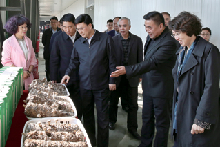 省政法委领导来我区调研,吉林省金振吉公示