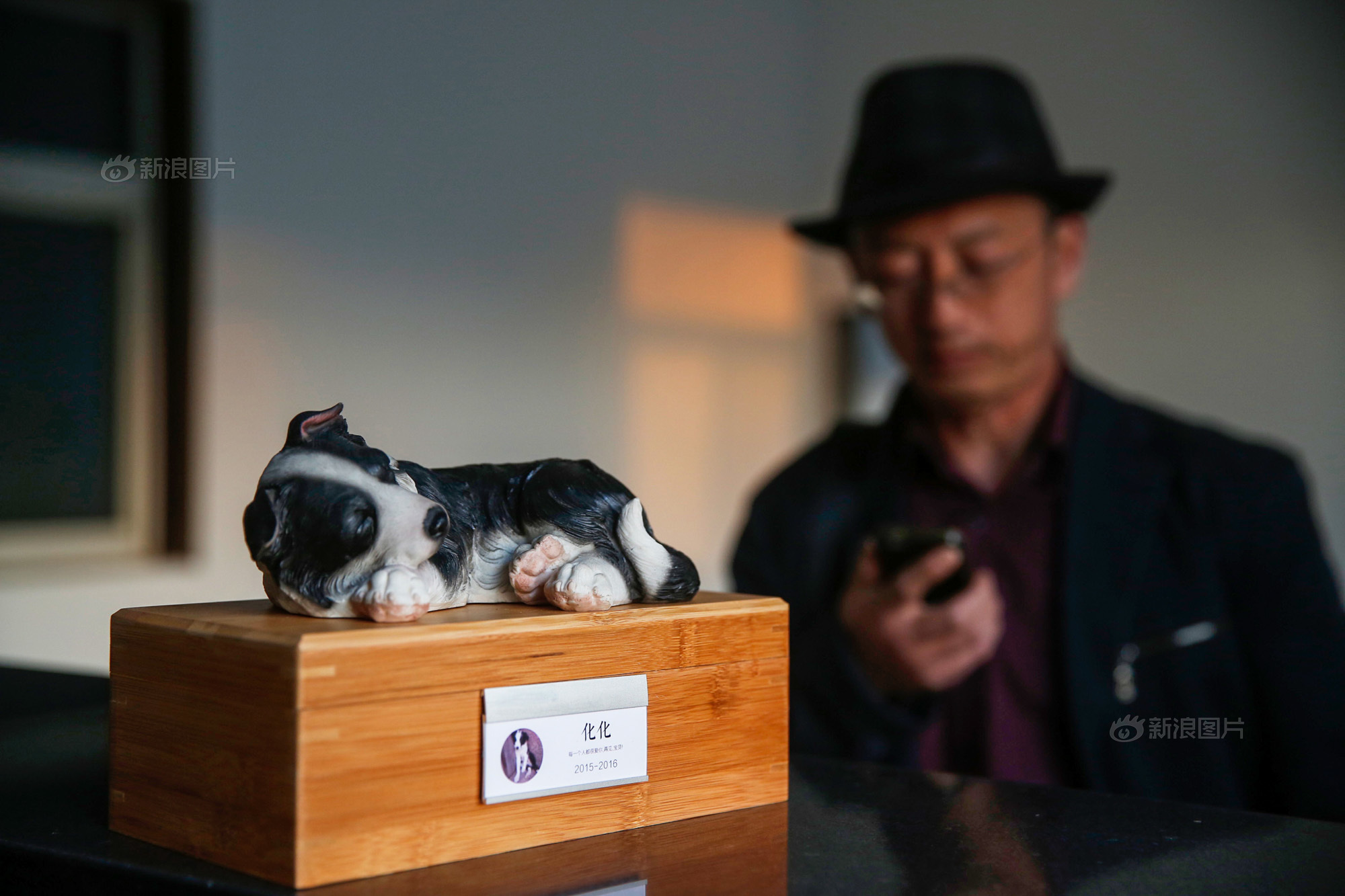 你会花1000元给宠物做殡葬吗,给宠物办葬礼你怎么看