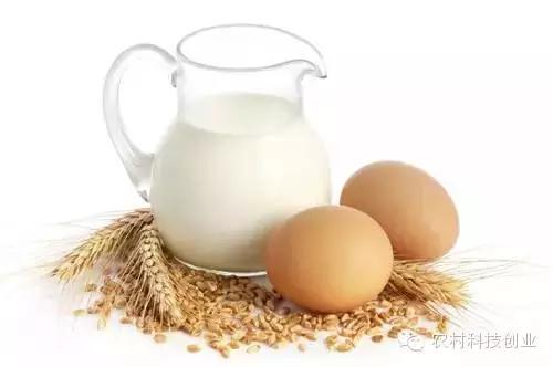 农村新商机小本创业,适合农村创业的小本点子