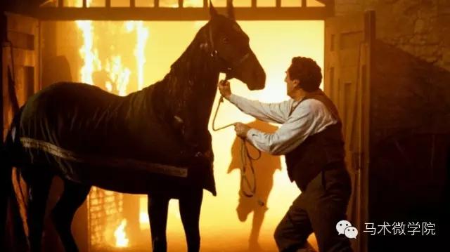 黑骏马我的故乡蒙语,黑骏马我是蒙古人