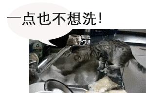 燃气灶老旧六大危害,老旧燃气灶20年火小