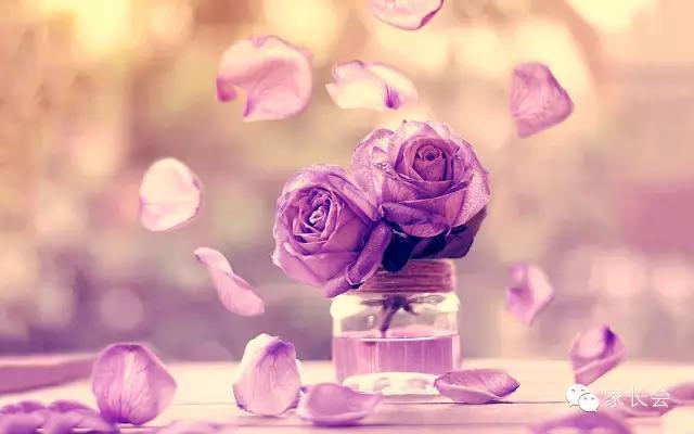 常见多音字一句话全总结,106个汉语多音字一句话全总结