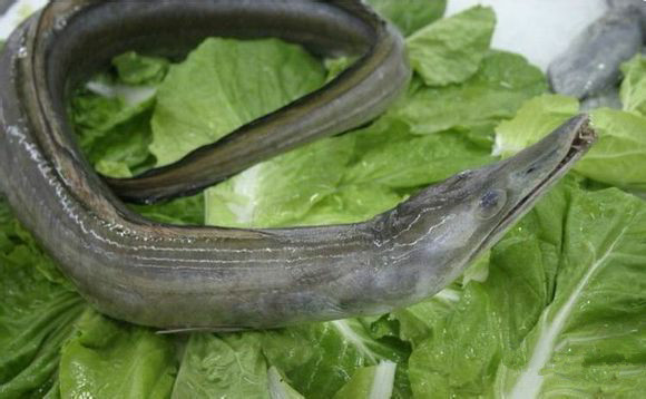 那些不认识的海鲜小干货,超级干货2022