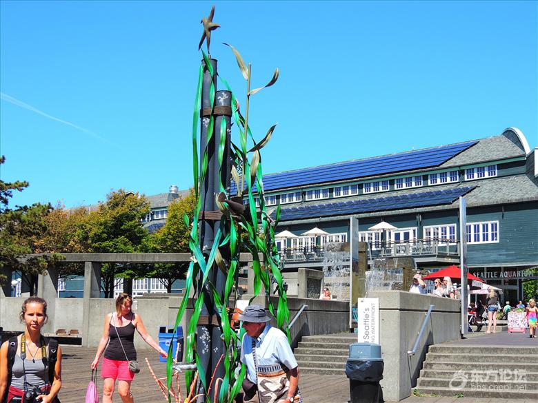 西雅图油价,西雅图油价多少钱