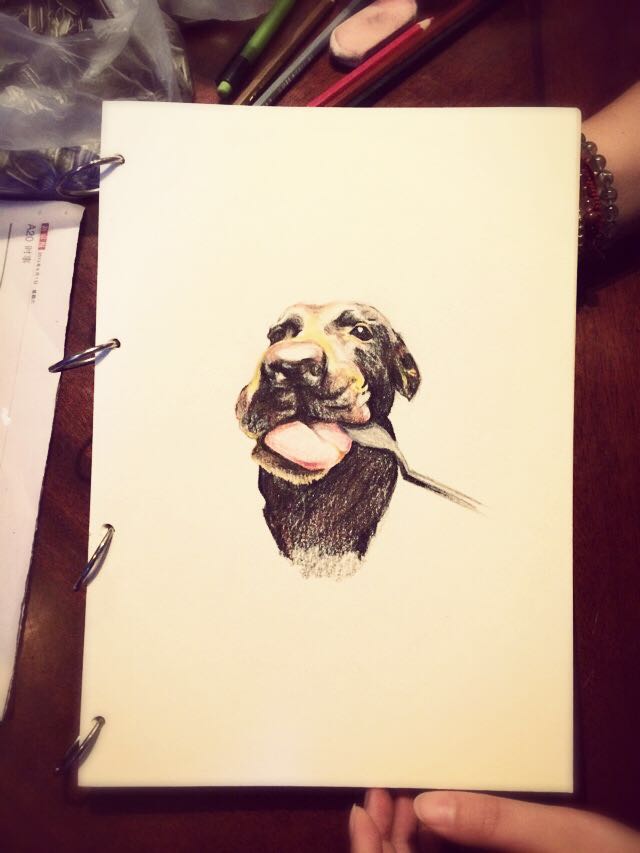 不是做网红而是做有内容的服务者,网红用户体验