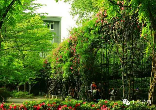 在上海你一定要知道的事,上海出现好多团购套路