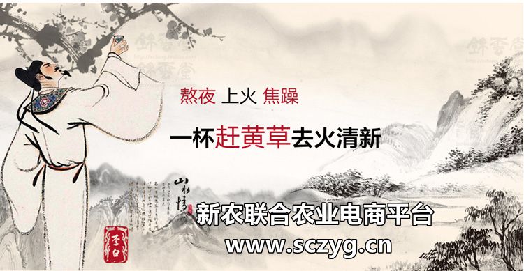 赶黄草全株茶,正品赶黄草泡水喝的正确方法