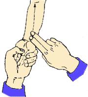 张世卿教授漫谈扁桃体的是是非非