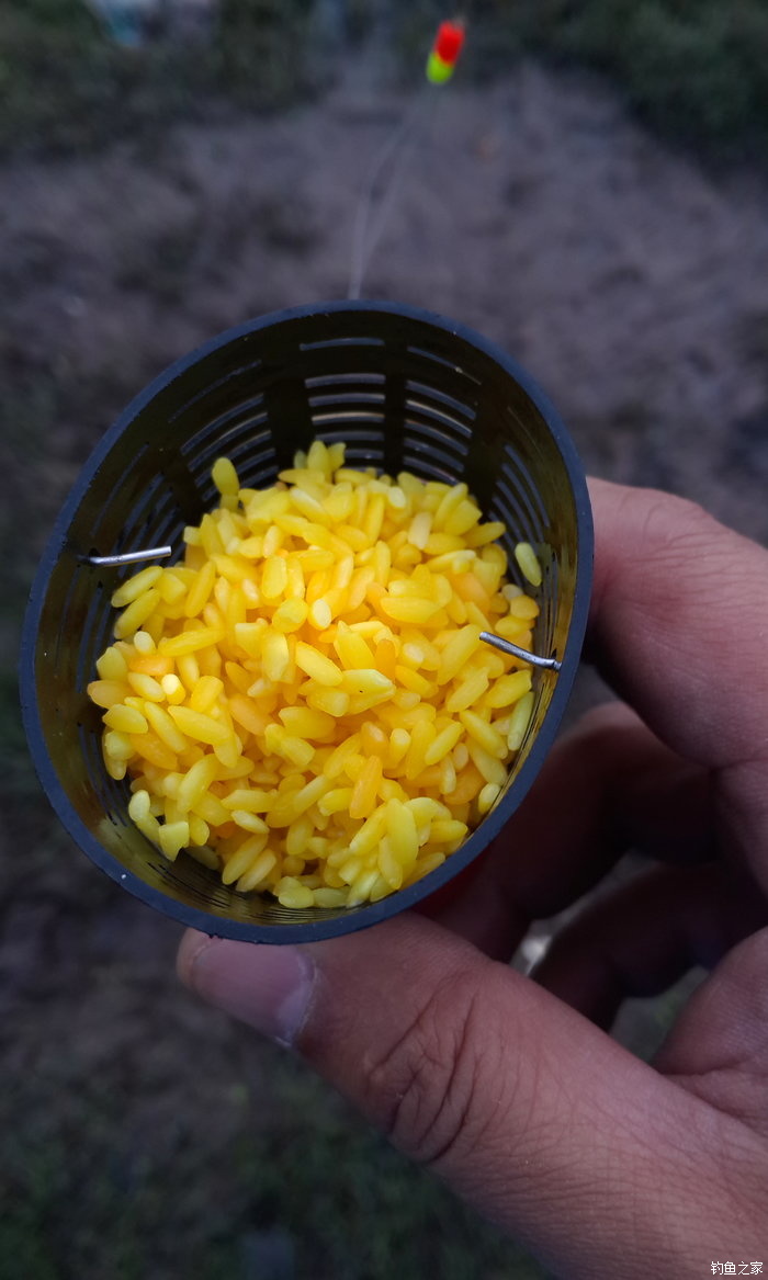 八一水库钓草鱼,八一水库钓青稍