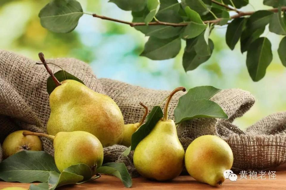 减重期间适合吃什么水果,减肥吃什么水果好快速瘦肚子