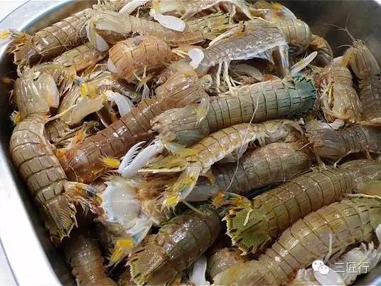 怎么挑皮皮虾视频,怎么挑皮皮虾带蛋