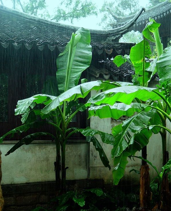 清明假期苏州旅行注意事项,清明小长假第1天苏州