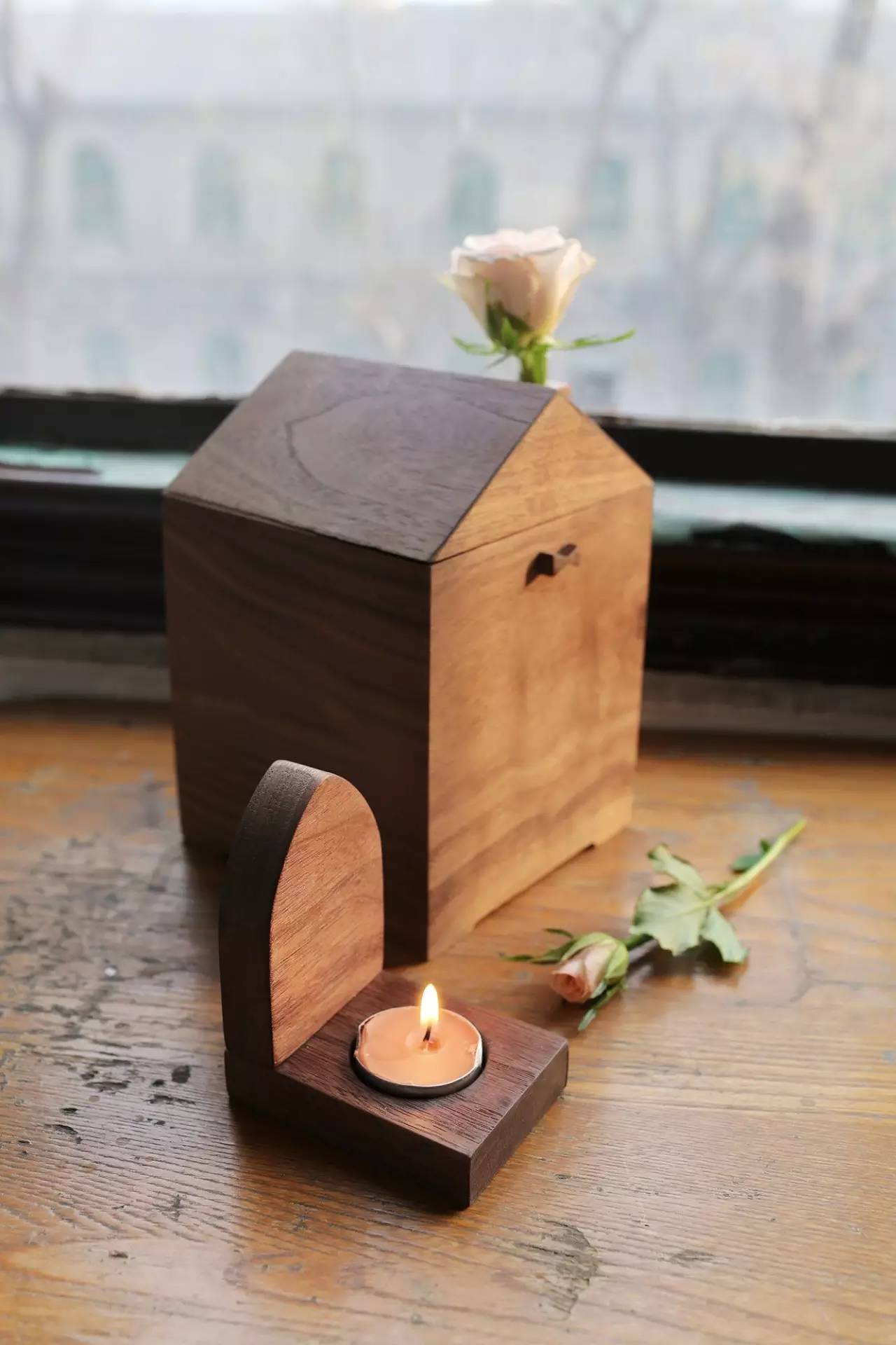 日子好货|住在“Qplanet”的小宠物