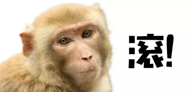 这个周末适合看什么电影,周末在家一定要看的电影