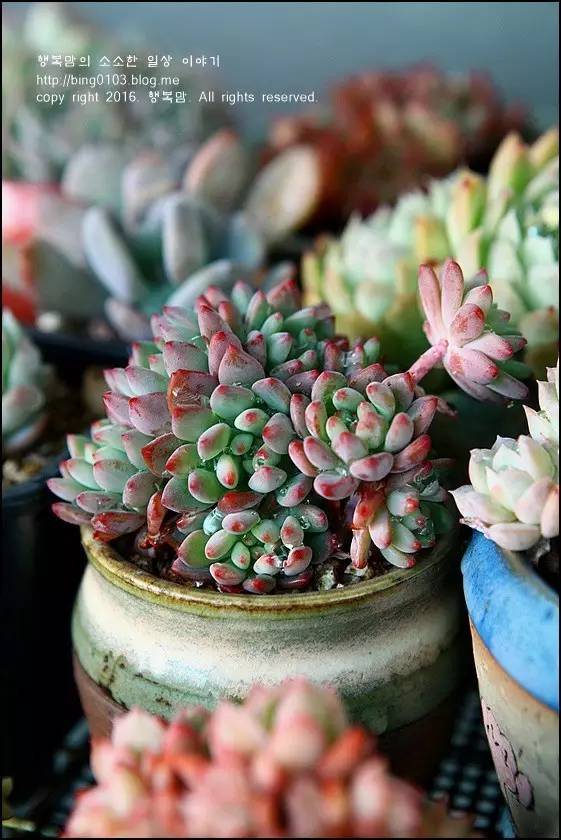 直播间不退不换的韩货,未来直播带货会持续红火吗