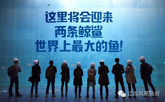 南昌万达海洋乐园在哪里,南昌万达海洋乐园主题公园