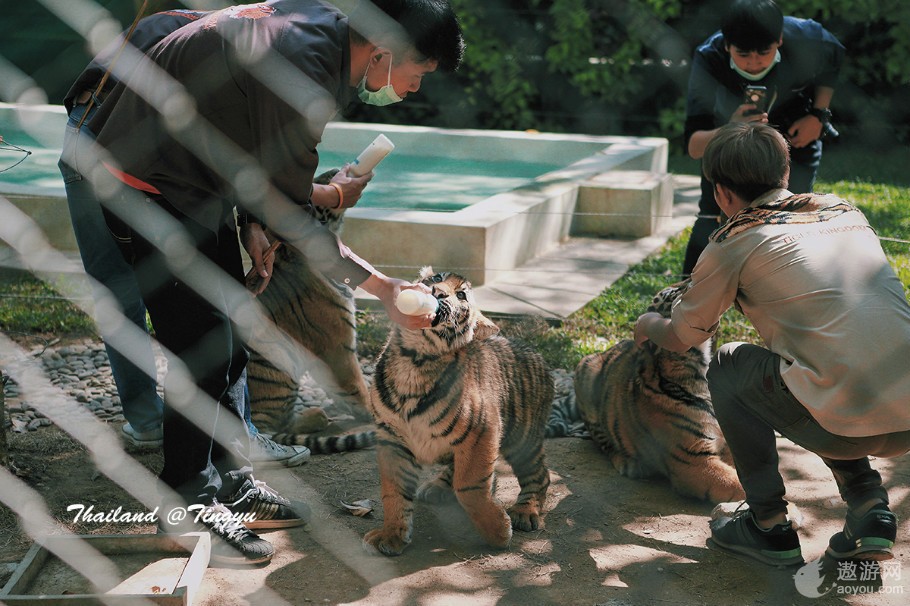 旅游攻略泰国免费,攻略带你了解最美的泰国景点