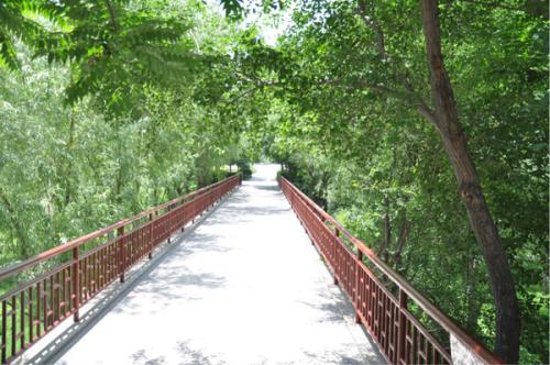 备孕过程中为什么男的不上心,备孕总是不成功