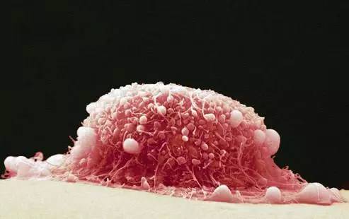 妇科主任给女性的10大建议,妇科医生个人总结