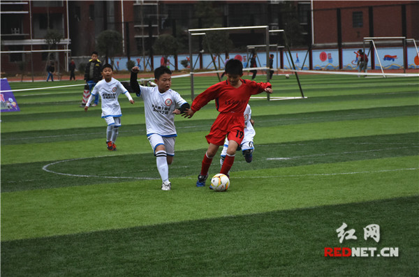 娄底足球俱乐部招人,娄底市足球队招聘