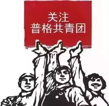 共青团县委团委,凉山州普格县团委