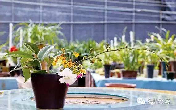 玩转城中山，这条超赞旅行线路拿走不谢！