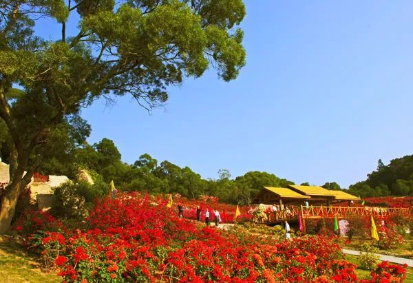 玩转城中山，这条超赞旅行线路拿走不谢！