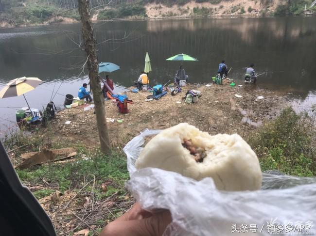 奔横县只为巴西雕，遇降温无奈成掐鲤