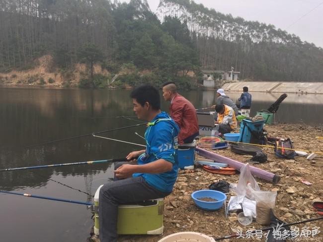 奔横县只为巴西雕，遇降温无奈成掐鲤