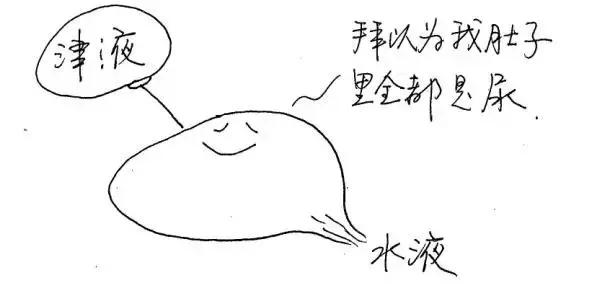 人体十二经络的对应时间表,人体各经络当令时间表