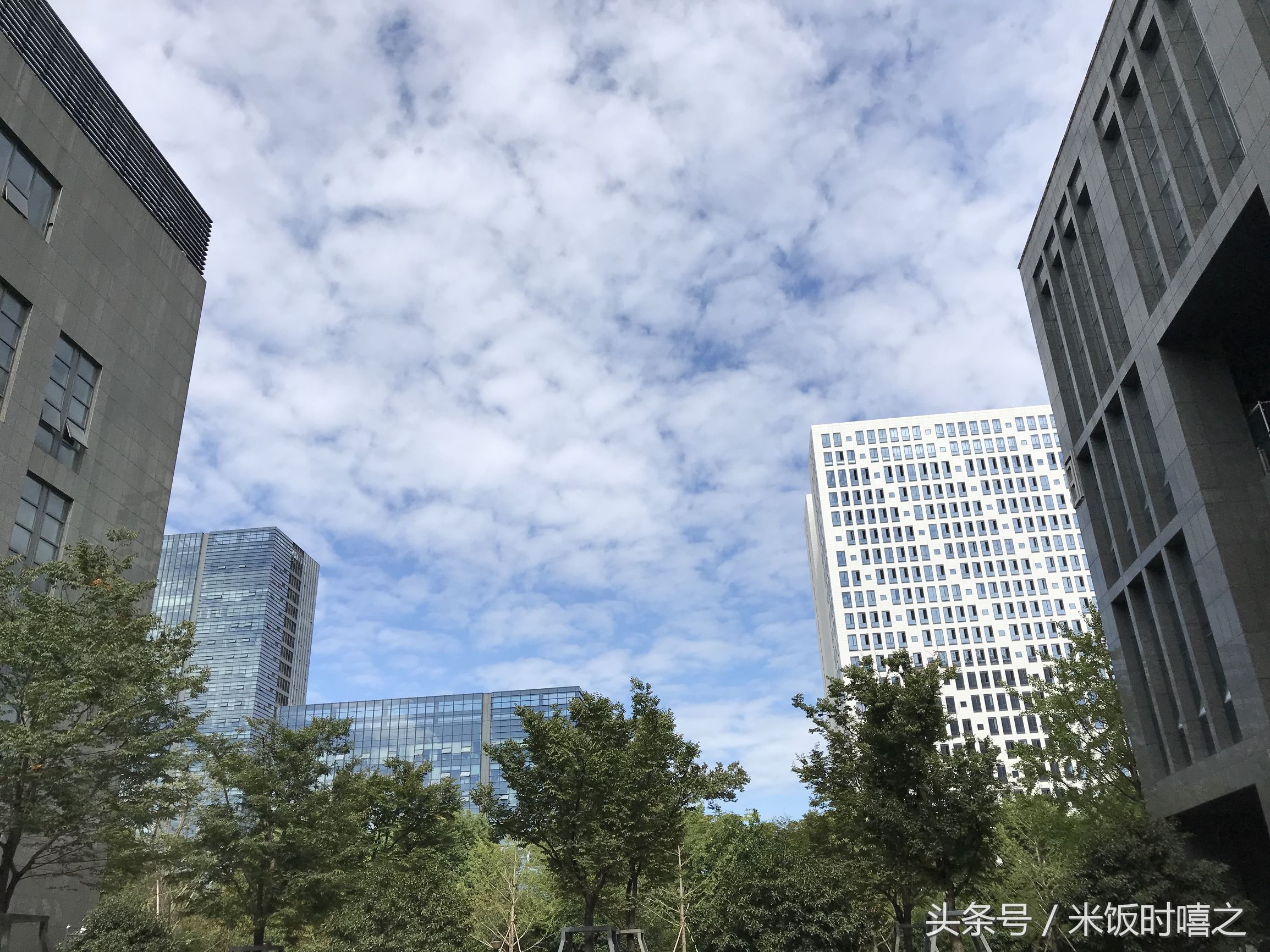 新手开淘宝店怎么起步,新淘宝店如何起步如何发展