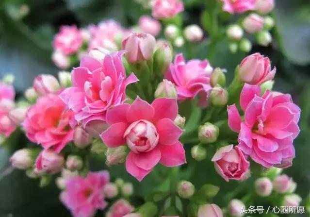 内服外用维生素e和c能祛斑吗,美容圣品维生素e的外用方法