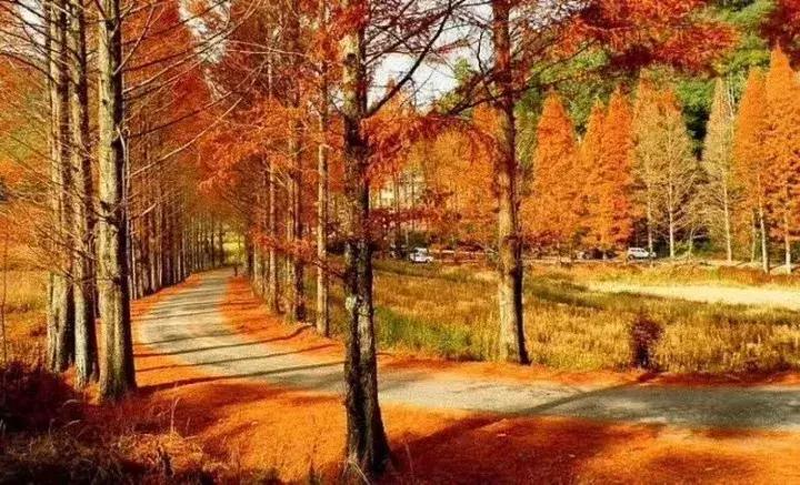 三明超级联赛,中国极限职业联赛将乐站