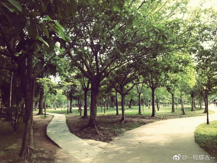 华软科技的趋势,华软科技有多厉害