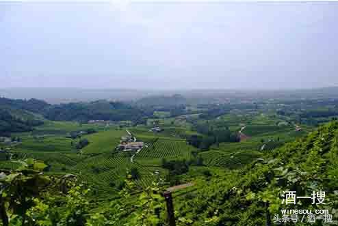 什么是起泡酒和香槟酒有啥区别,什么是起泡酒啊
