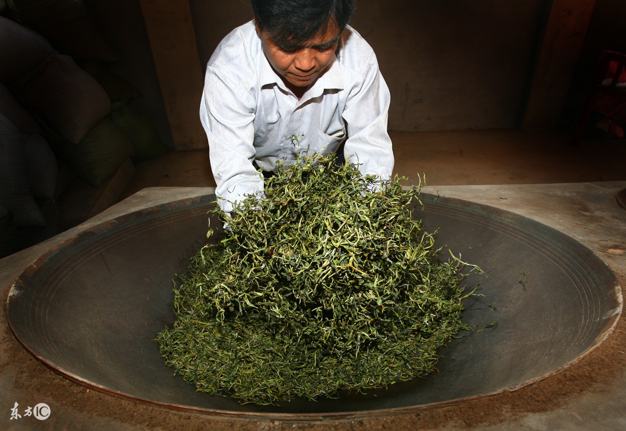 普洱茶从采摘到成品,普洱茶从采摘到成品的全过程解析