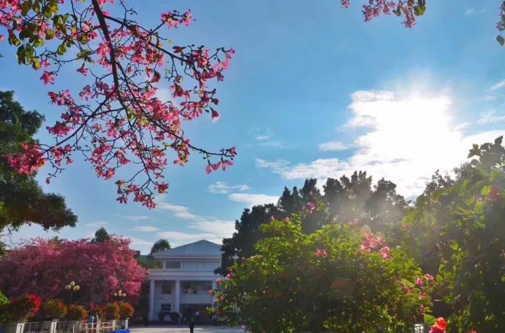 华软科技的趋势,华软科技有多厉害