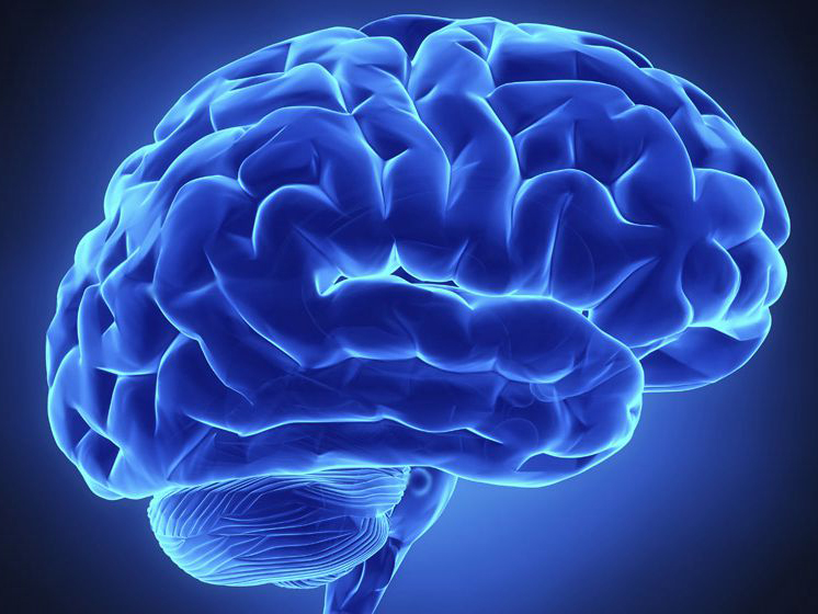 癫痫和小儿癫痫的症状区别,假癫痫与真癫痫症状