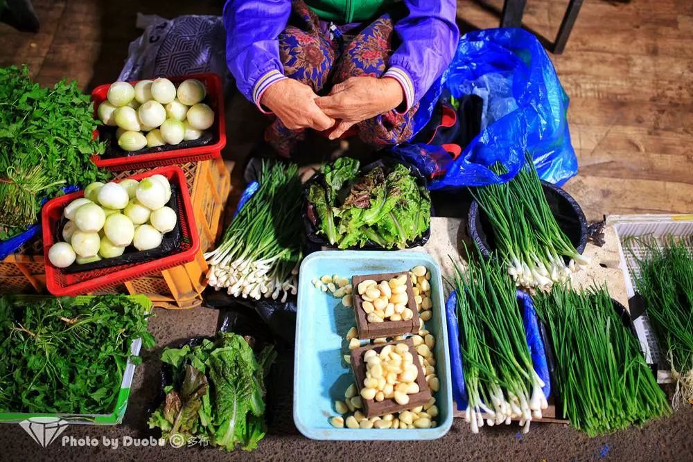 济州岛小众宝藏,世界城市寻宝记济州岛